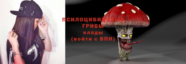 бошки Абинск