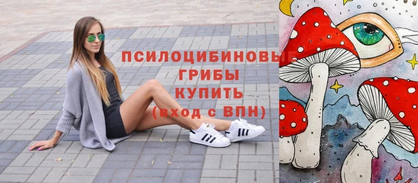 сатива Абаза