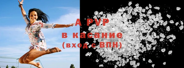 сатива Абаза